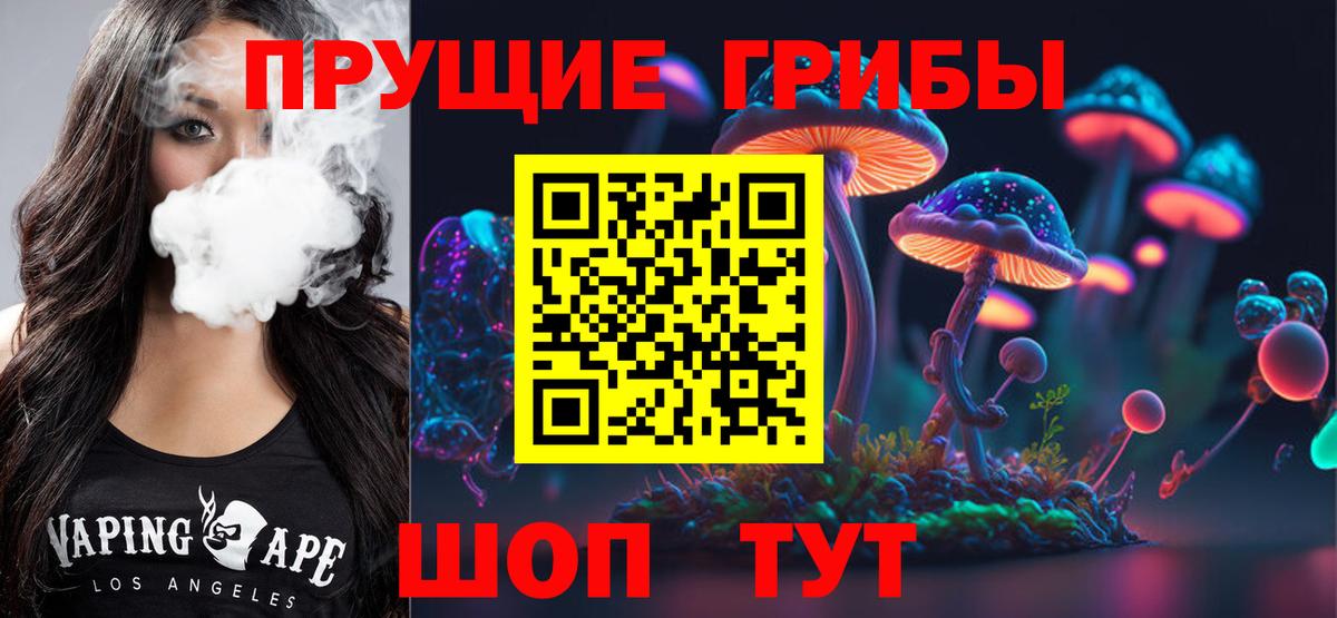 Галлюциногенные грибы Psilocybe  Вход с VPN  Тында  Галлюциногенные грибы Cubensis 