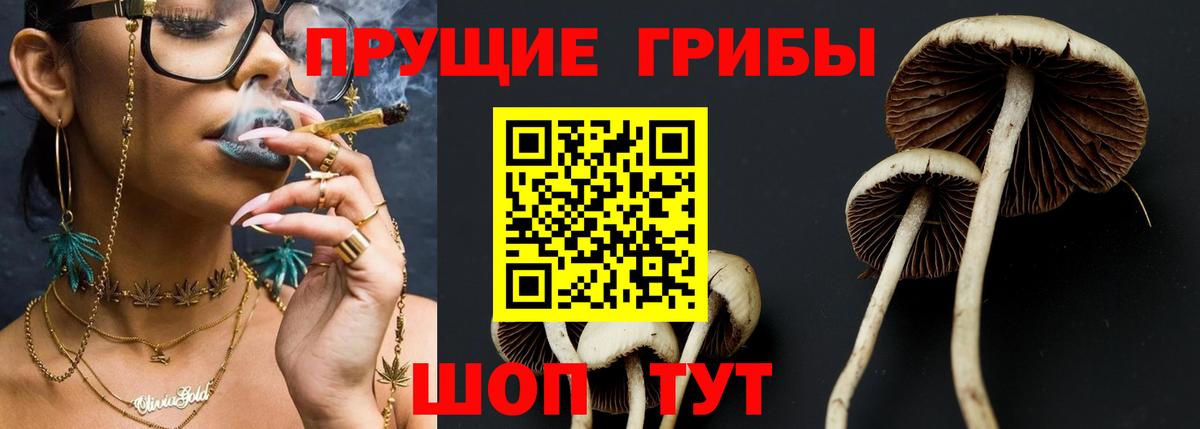 Псилоцибиновые грибы Cubensis Тында